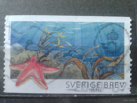 Швеция 2009 Морская звезда