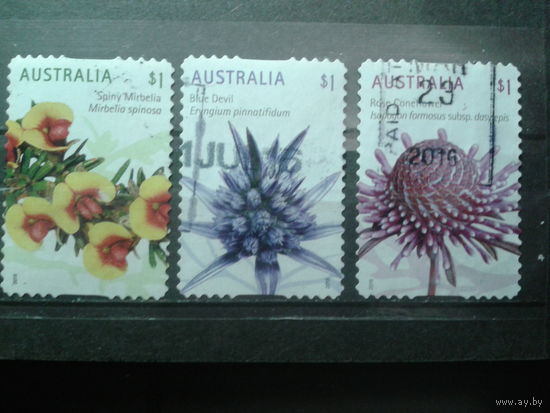 Австралия 2015 Дикие цветы, самоклейки Полная серия Михель-6,0 евро гаш