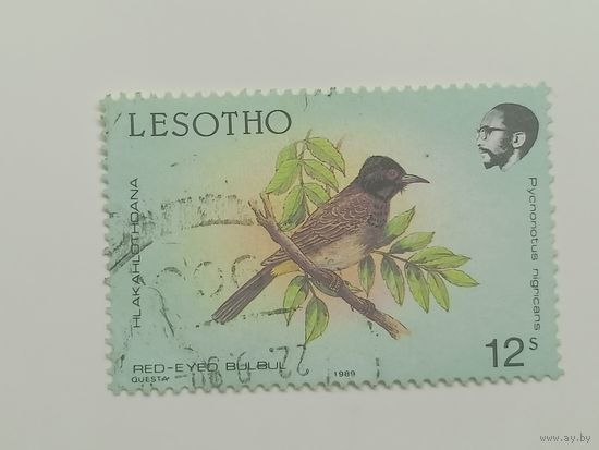 Лесото 1988. Птицы
