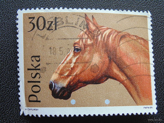 Польша 1989 г. Лошадь.