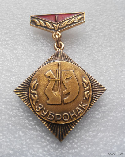 Медаль. Пионерский лагерь Зубренок. 1-е место #0354