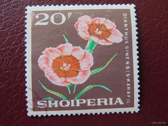 Албания 1968 г. Цветы.