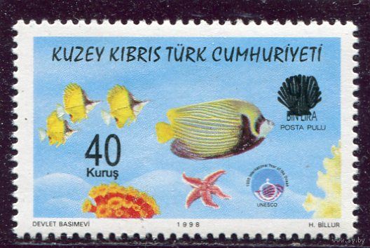 Турецкий Кипр. Год океана. Морская фауна