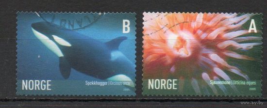 Морские обитатели Норвегия 2005 год серия из 2-х марок