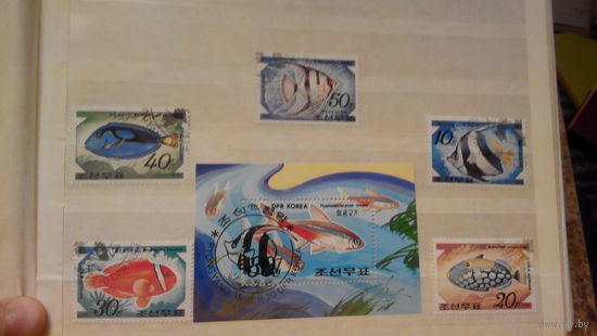 Рыбы, фауна, марки и блок, КНДР, 1991