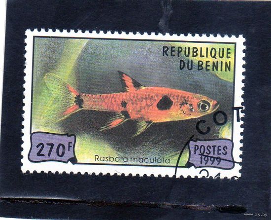 Бенин.Ми-1166. Аквариумные рыбки. Расбора. 1999