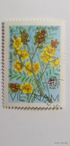 Вьетнам 1977. Цветы.