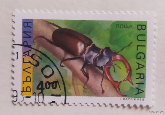Болгария 1993, жук-олень