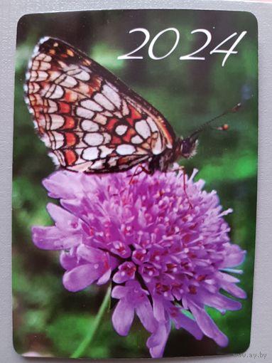 Бабочка. 2024, глянец. Календарик
