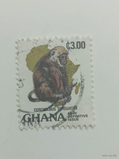Гана 1983-1984. Фауна, флора и культура Ганы