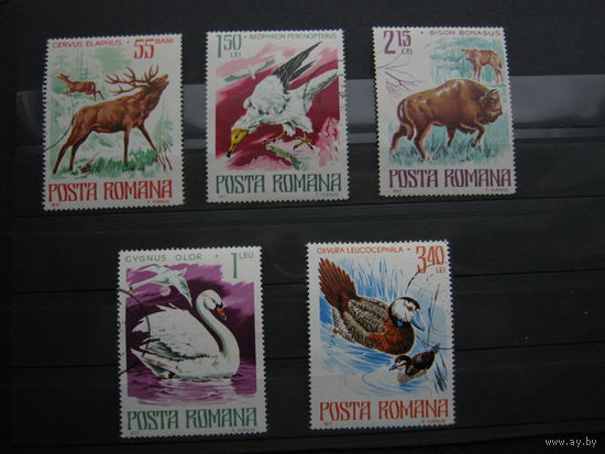 Марки - фауна, Румыния, птицы, звери, 5 шт., большой размер, 1977 г.