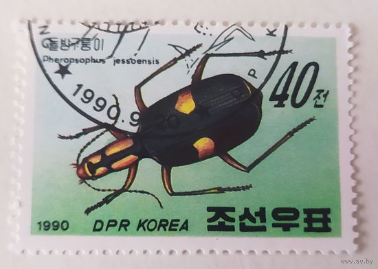 Корея 1990, жук