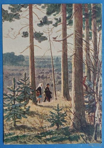 Глебов Ф. Утро в лесу. 1956 г. Чистая.