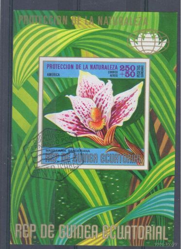 [2031] Экваториальная Гвинея. Флора.Цветы.Орхидея. Гашеный блок.