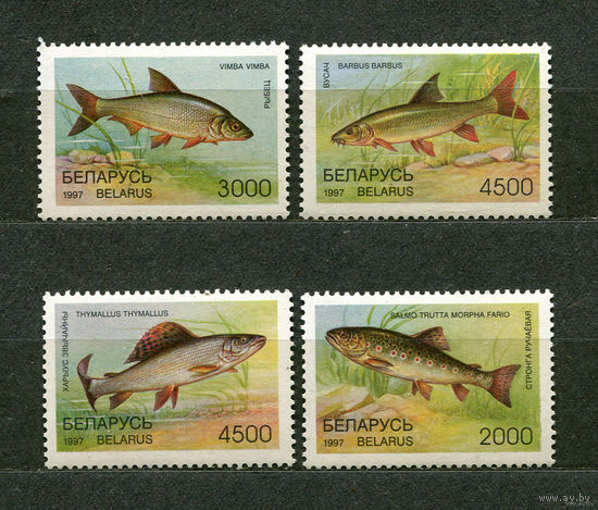 Рыбы. 1997. Беларусь. Полная серия 4 марки. Чистые
