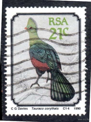 ЮАР. Mi:ZA 800. Книсна Турако (Tauraco corythaix) Серия: птицы. 1990.