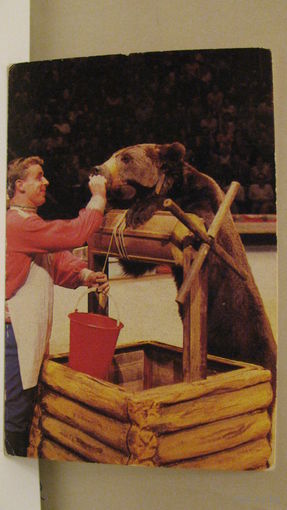 Календарик. Цирк. 1982г.