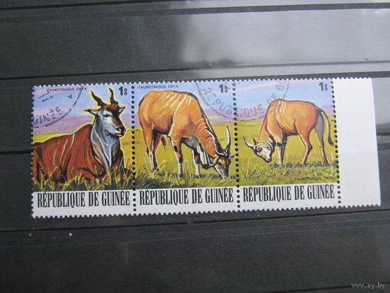 Марки - фауна, Гвинея, антилопы