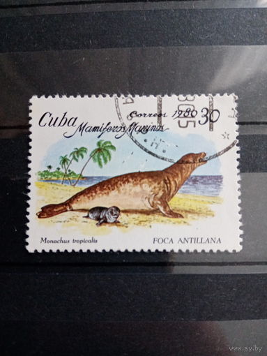 Куба 1980. Фауна. Foca Antillana