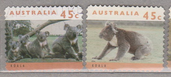 Коалы животные  Фауна Австралии 1994 год  лот 11  волнистая перфорация - рулонная