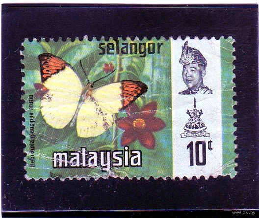Малайзия. Селангор. Ми-109.Бабочки. Большой оранжевый тип.1971.