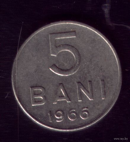 5 бани 1966 год Румыния