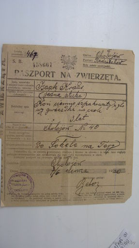 Паспорт лошади ( со звёздочкой на лбу )  Польша 1920 г.