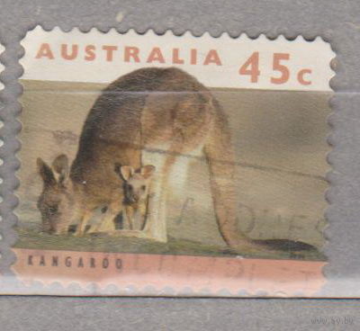 Кенгуру животные  Фауна Австралии 1994 год  лот 11  волнистая перфорация - рулонная