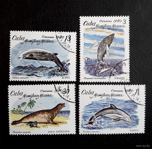 Куба 1980 г. Морская фауна. полная серия из 4 марок #0054-Ф1