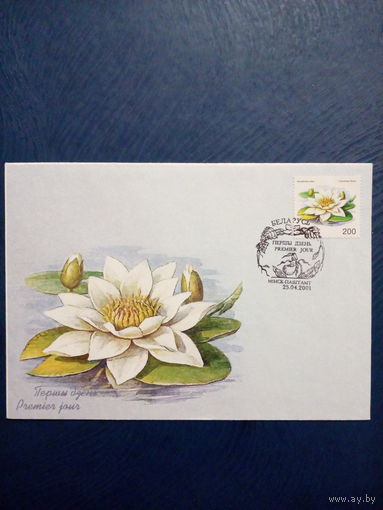 Конверт почтовый Беларусь 2001 год чистый