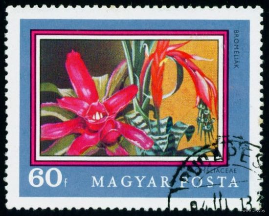 200-летие Ботанического сада Будапештского университета Венгрия 1971 год 1 марка