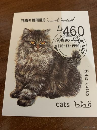 Йемен 1990. Породы кошек. Блок