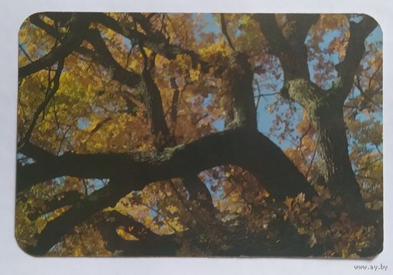 Календарик.1989.природа.осень.
