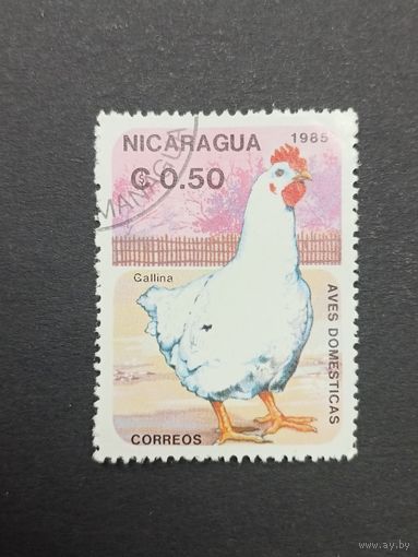 Никарагуа 1985. Домашние животные - Птицы