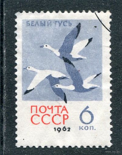СССР 1962.. Фауна. Белые гуси