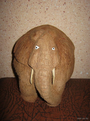 Слон . Кокосовый орех . Шри Ланка