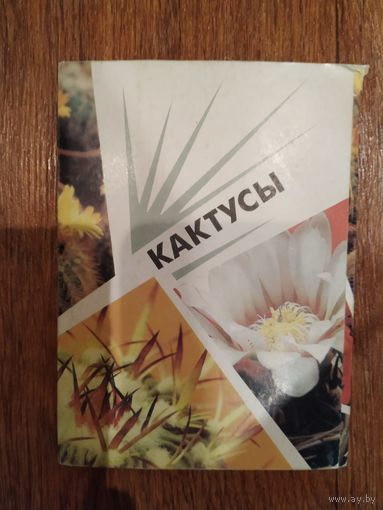 Набор открыток Кактусы