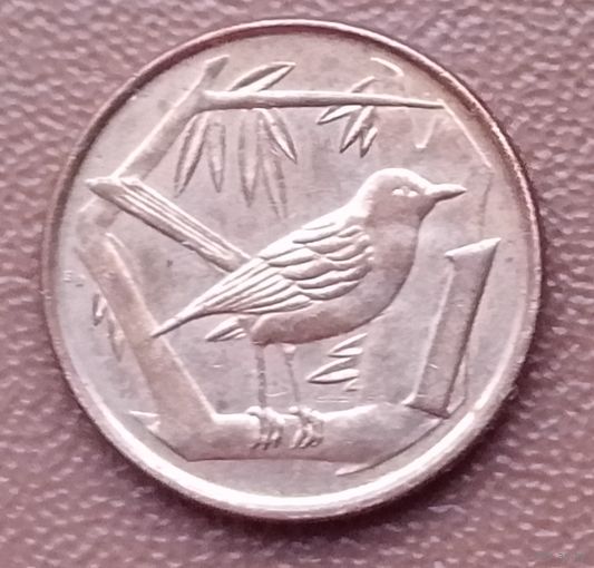 Каймановы острова 1 цент, 1999-2019