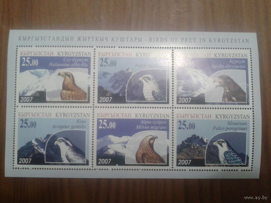 Киргизия 2007 Хищные птицы, блок Mi-12,0 евро