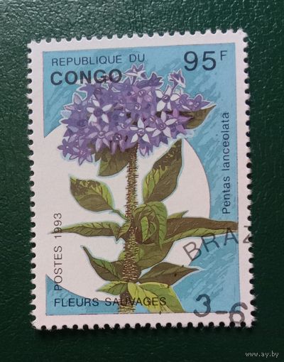 Конго 1993 Цветы