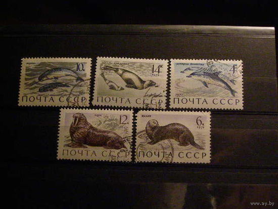 СССР 1971 Фауна Морские млекопитающие Гаш.  М2854
