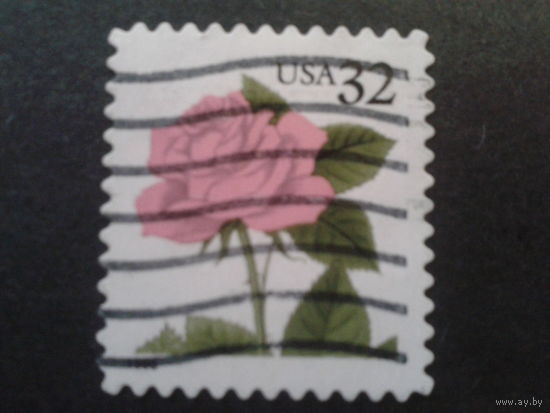 США 1995 стандарт, роза