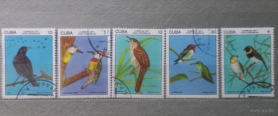 Куба. 1977г. Фауна. Птицы.