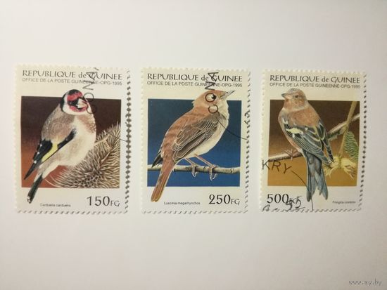 Гвинея 1995. Птицы