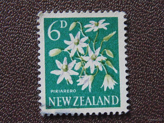 Новая Зеландия. Флора.