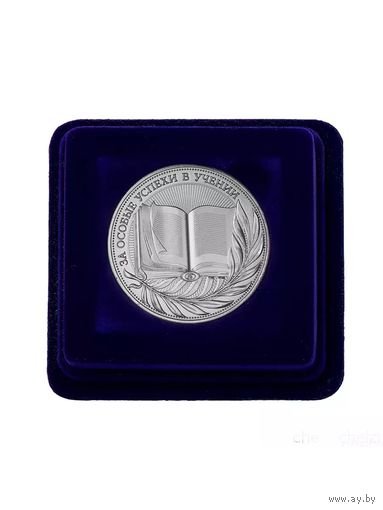 Серебряная школьная медаль РФ За особые успехи в учении