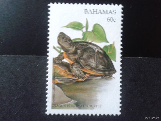 Багамы 1996 Черепаха** Михель-3,0 евро