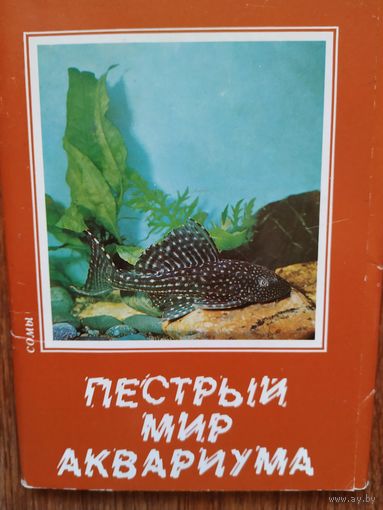 Набор открыток Пестрый мир аквариума