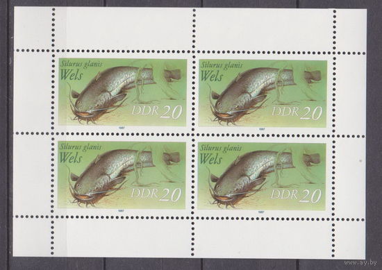 Пресноводная рыба сом фауна Германия ГДР 1987 год Лот 53 ЧИСТЫЙ БЛОК