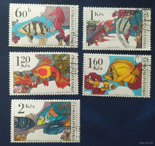 Чехословакия 1975 Аквариумные рыбы